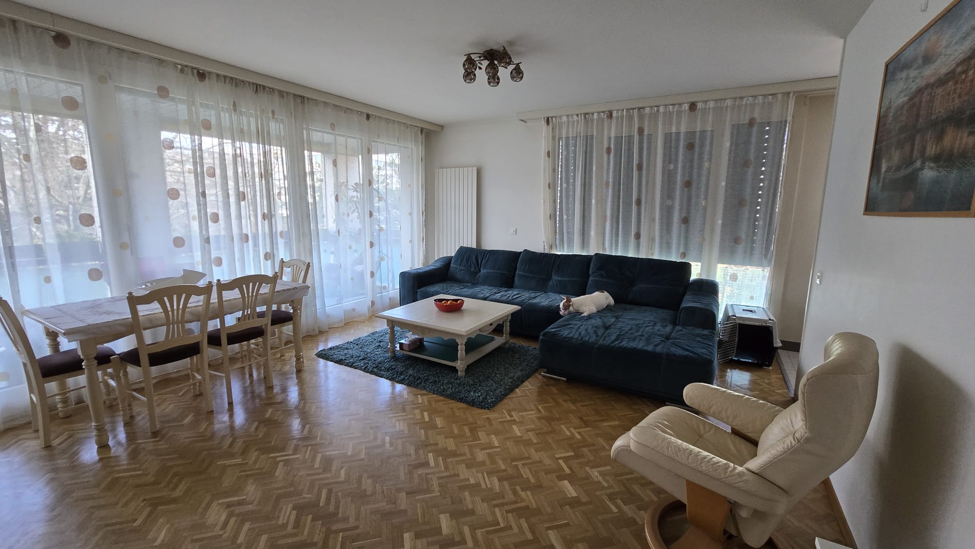 Andra adoră faptul că apartamentul este luminos