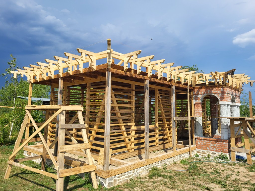 casa Ilie Micu relocare