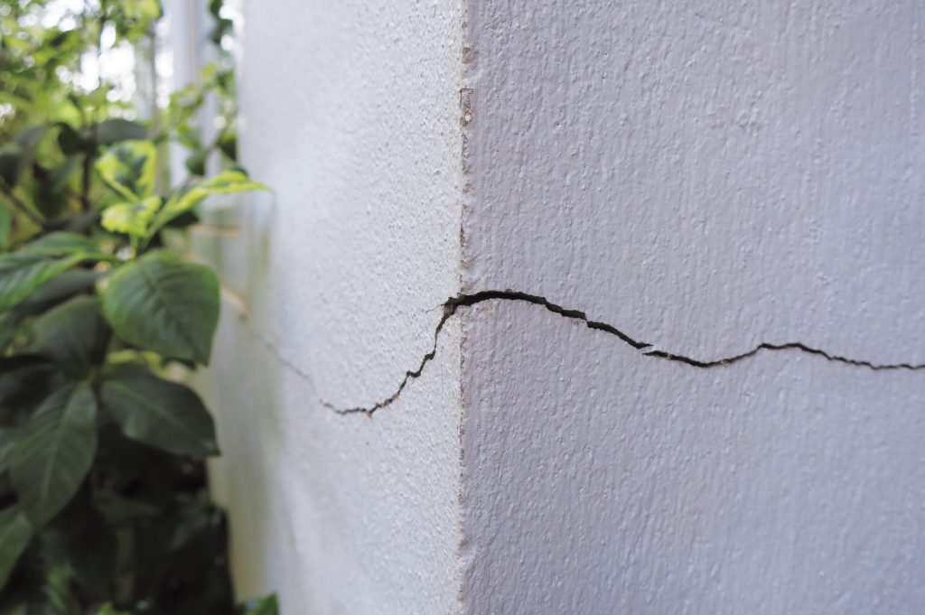 de ce crapa peretii la casa noua zid alb fisura la exterior vegetatie