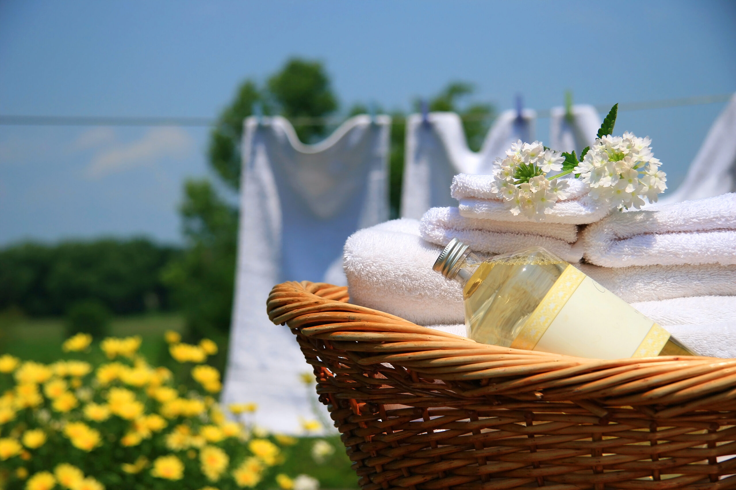 de ce nu miros hainele a balsam dupa spalare uscare la soare folosire produs cu parfum flori haine intr-un cos de rachita