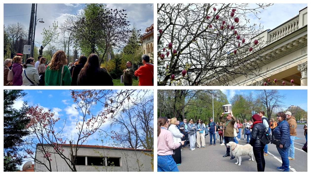 turul-magnoliilor-c-1260x709