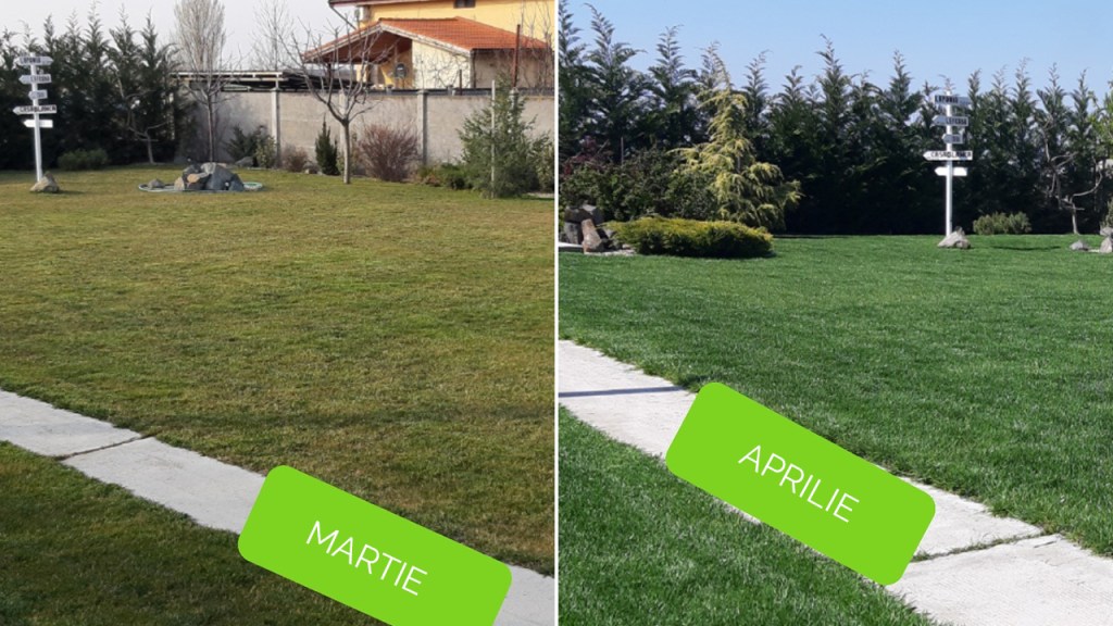 Cum îți fertilizezi corect gazonul ghid complet pentru peluze verzi și sănătoase tot anul