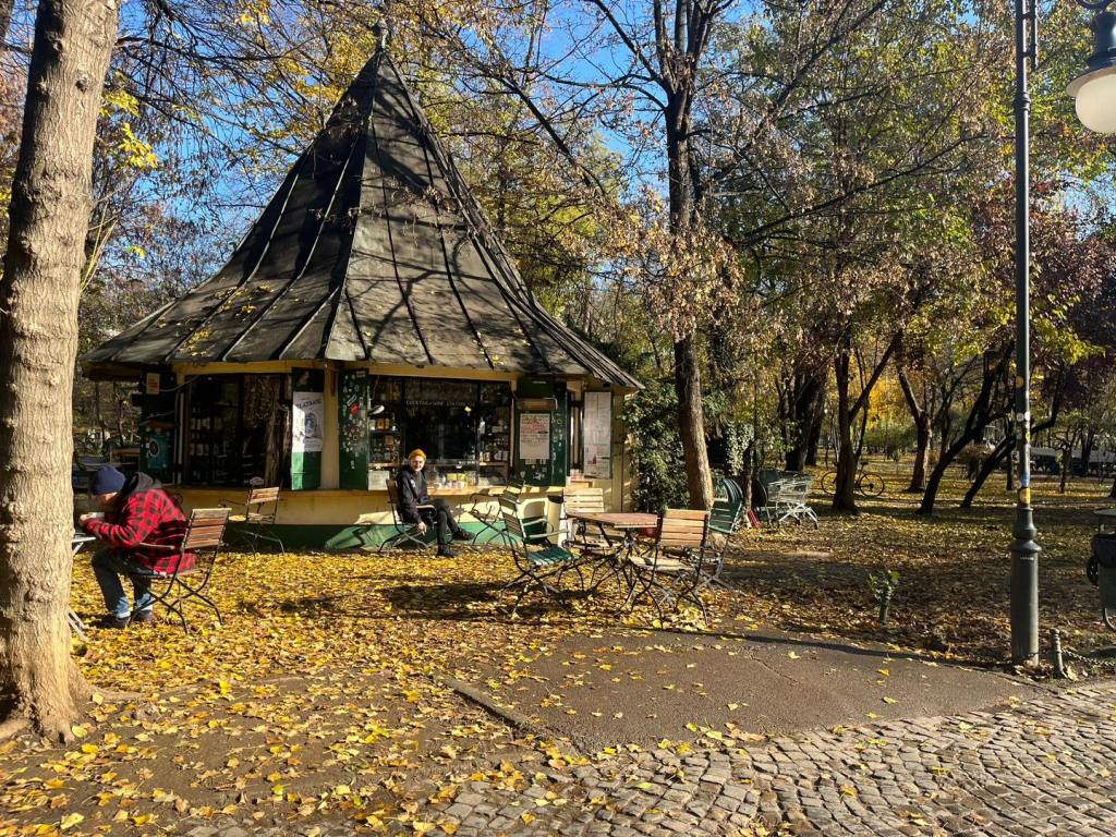 Zona Liberă Cișmigiu
