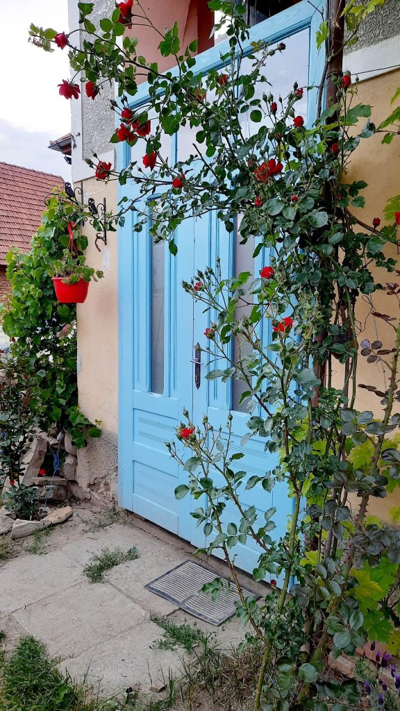 Ușile colorate sunt elemente esențiale ale căsuței