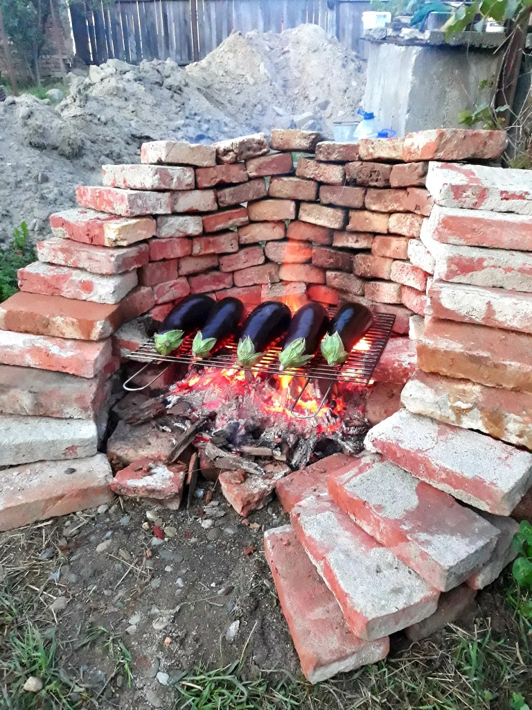 Tinerii au o grădină care le oferă bunătăți pe care le transformă în produse bio