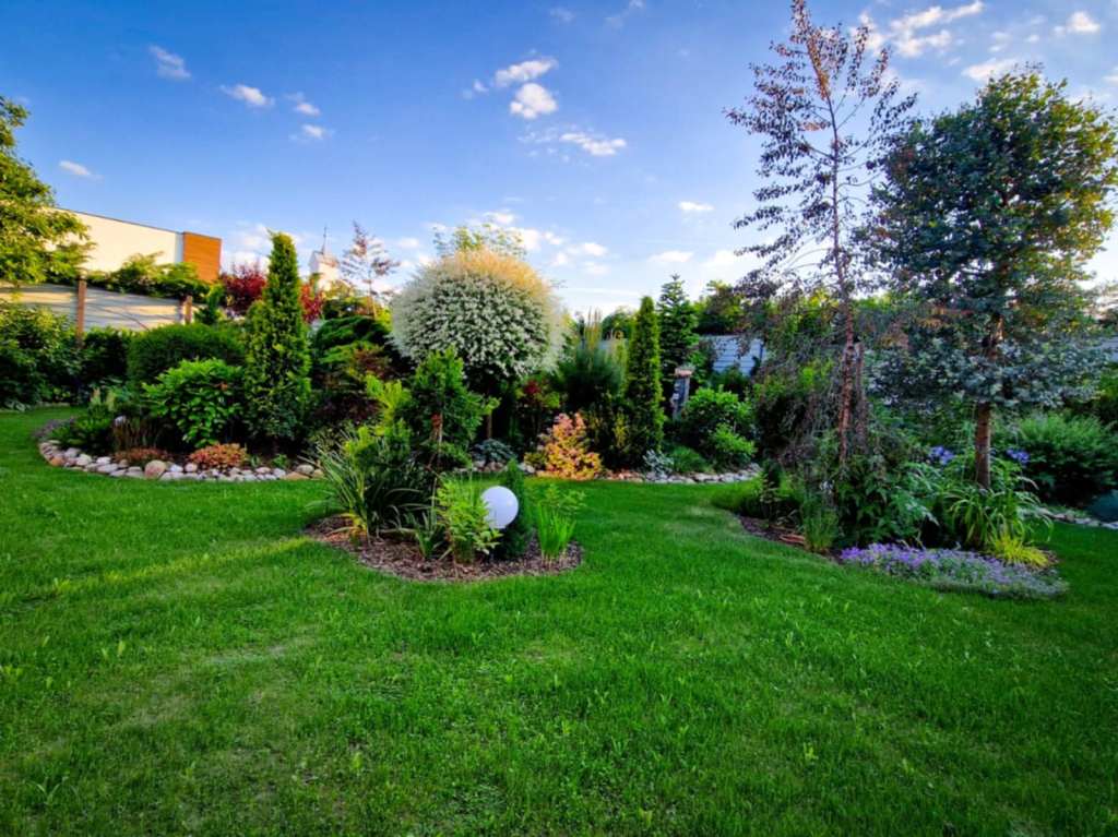 Baranyi Levente a început munca la grădină în 2020 și a finalizat-o în mai 2025