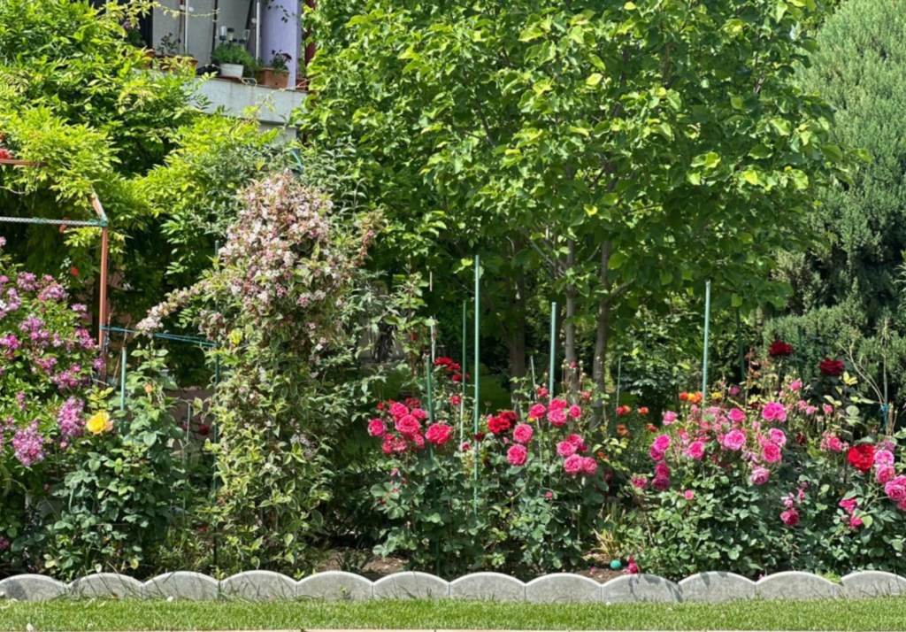 Iulia a construit la grădina ei din 2015 până în 2017, dar spune că munca nu se termină niciodată