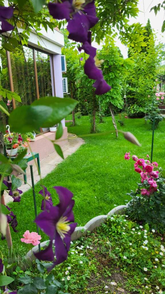 Iulia a construit la grădina ei din 2015 până în 2017, dar spune că munca nu se termină niciodată