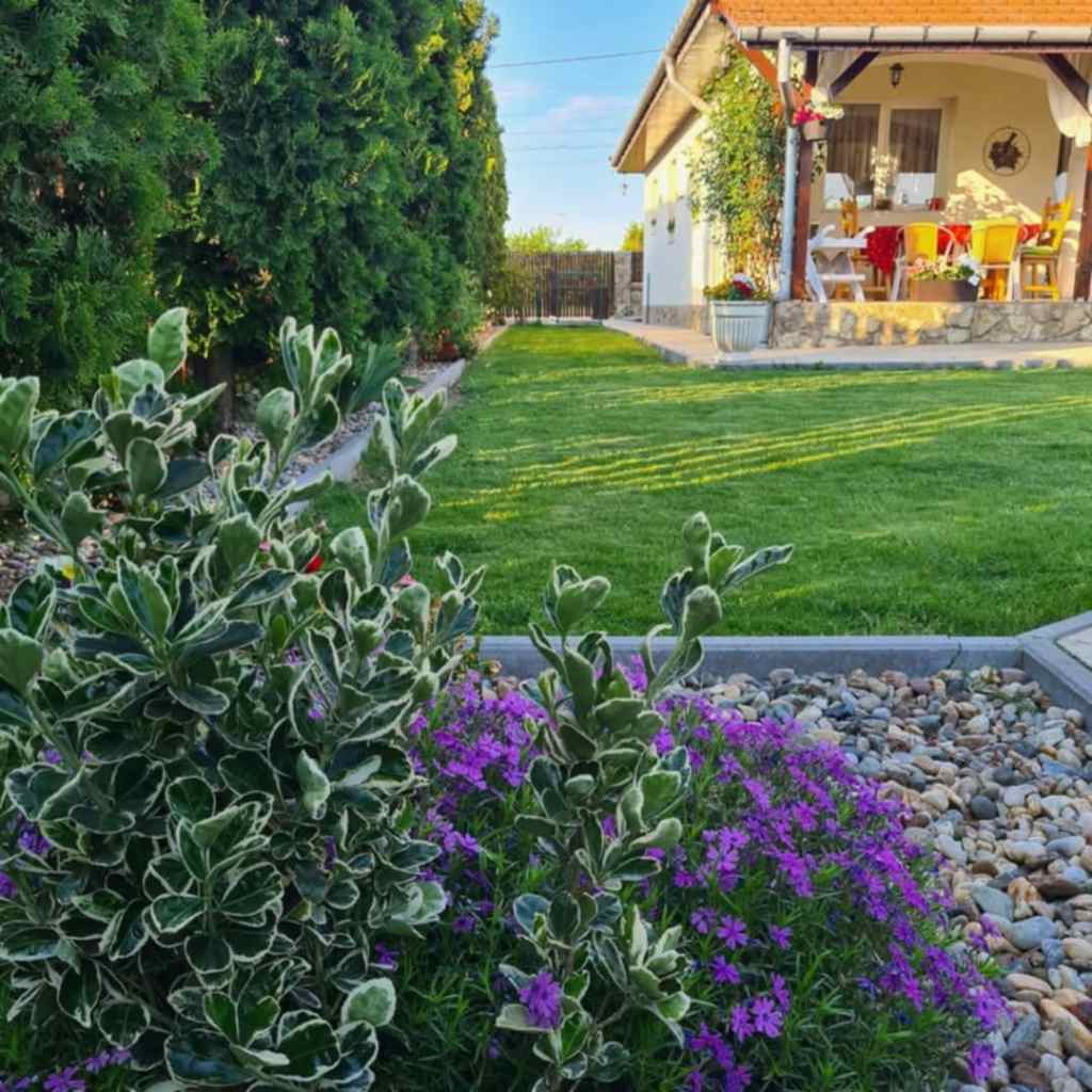 Ildikó și-a amenajat grădina în jurul unei salcii japoneze