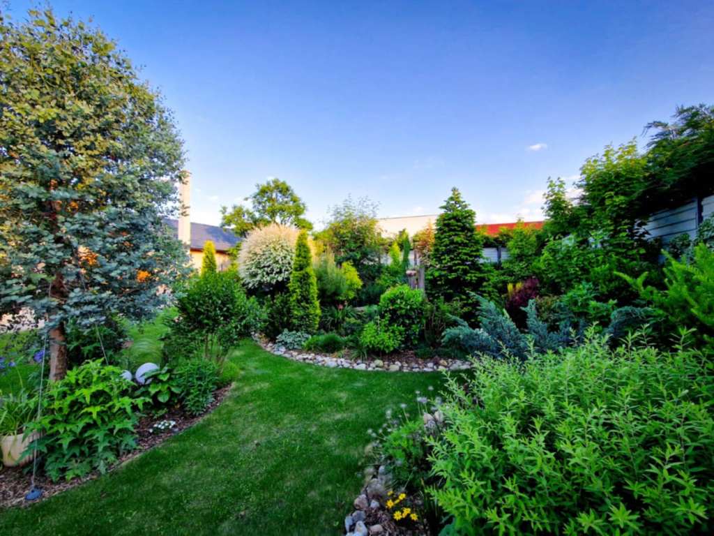 Baranyi Levente a început munca la grădină în 2020 și a finalizat-o în mai 2025