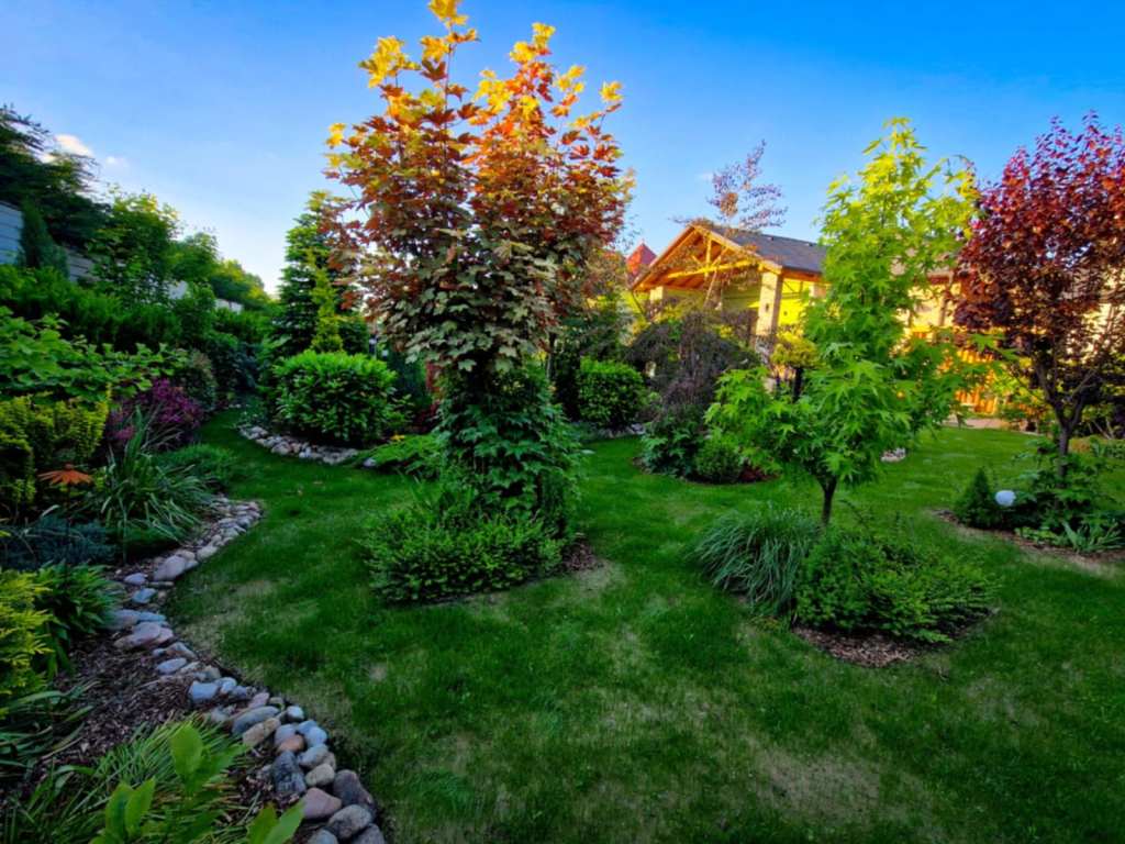 Baranyi Levente a început munca la grădină în 2020 și a finalizat-o în mai 2025