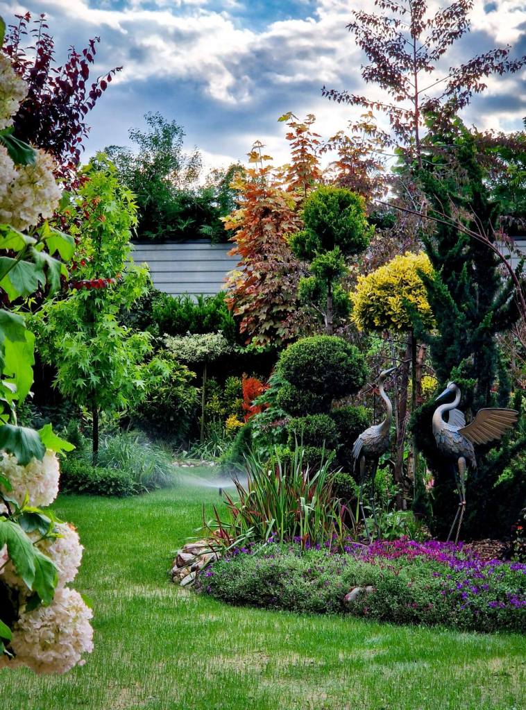 Baranyi Levente a început munca la grădină în 2020 și a finalizat-o în mai 2025