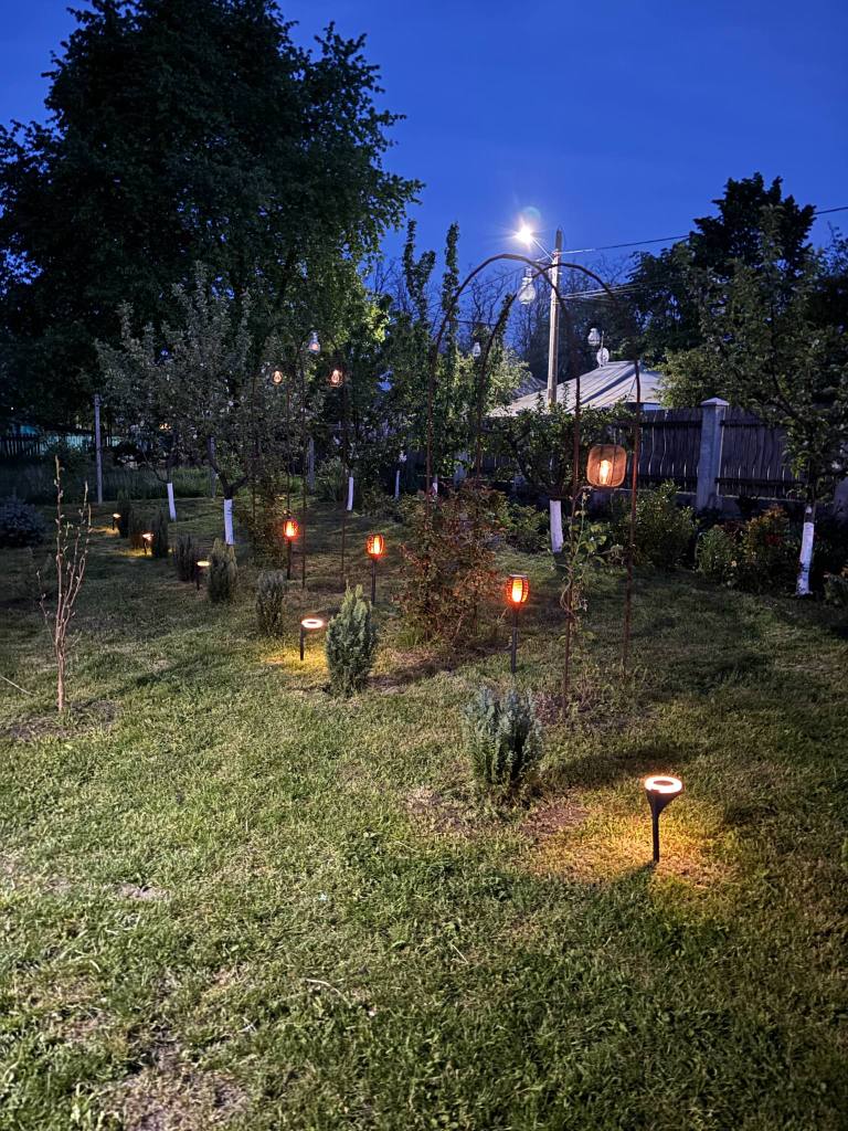 Crina și-a dorit o grădină foarte verde, cu mulți brazi