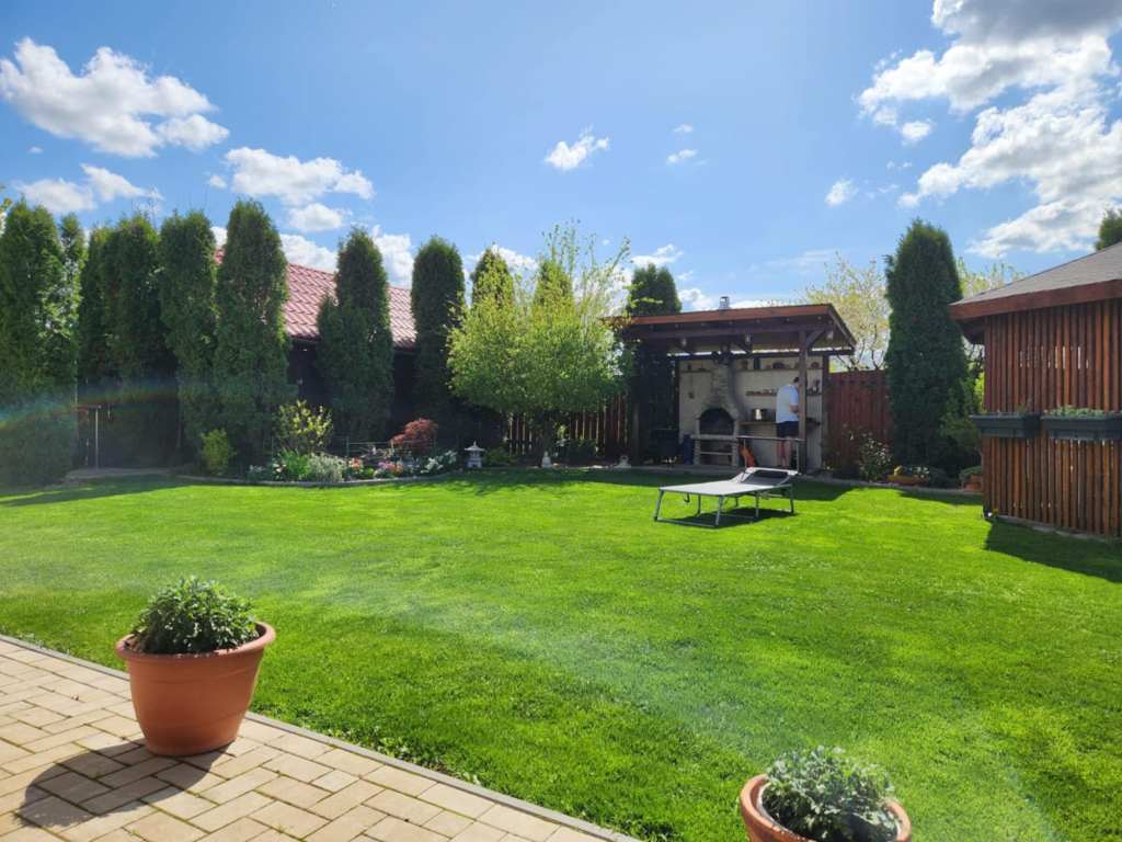 Ildikó și-a amenajat grădina în jurul unei salcii japoneze