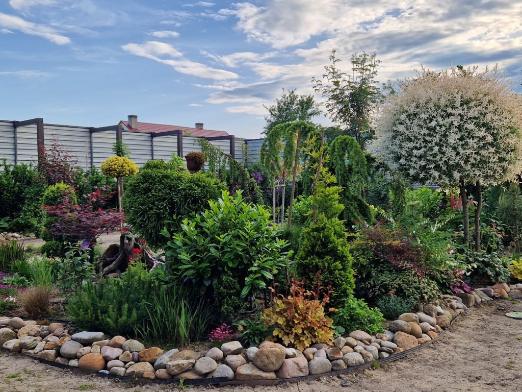 Baranyi Levente a început munca la grădină în 2020 și a finalizat-o în mai 2025