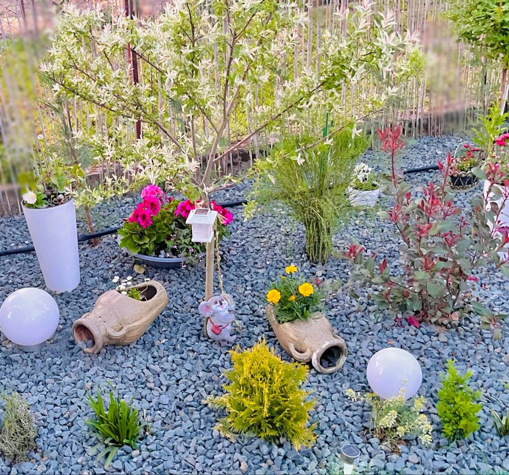 Ramona a lucrat timp de patru ani la grădina ei, încă din 2021