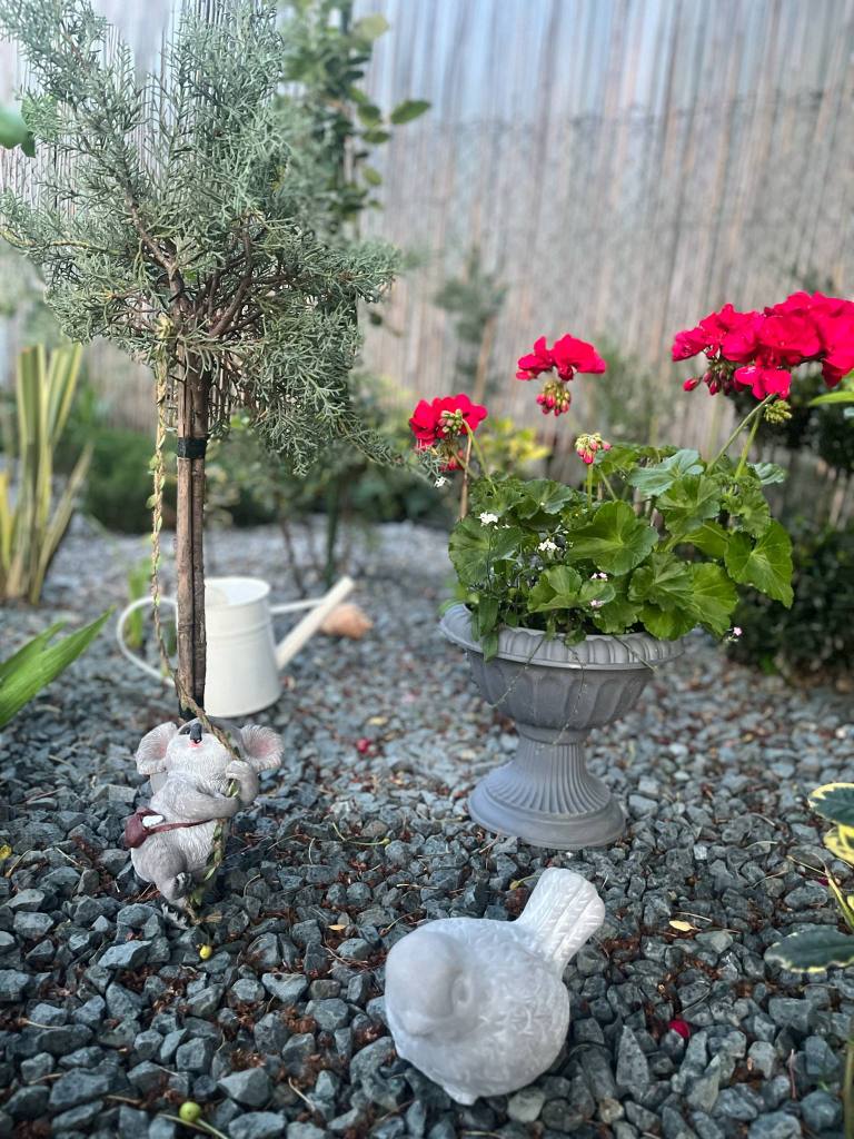 Ramona a lucrat timp de patru ani la grădina ei, încă din 2021