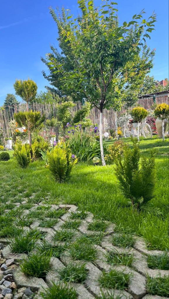 Ramona a lucrat timp de patru ani la grădina ei, încă din 2021