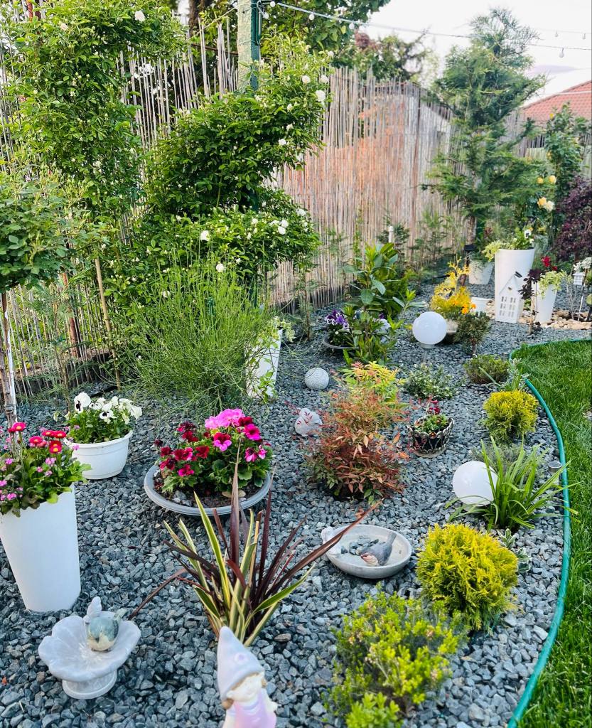 Ramona a lucrat timp de patru ani la grădina ei, încă din 2021