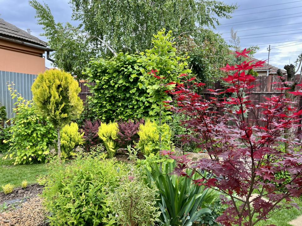 Sorin a început să lucreze la grădina lui încă din pandemie