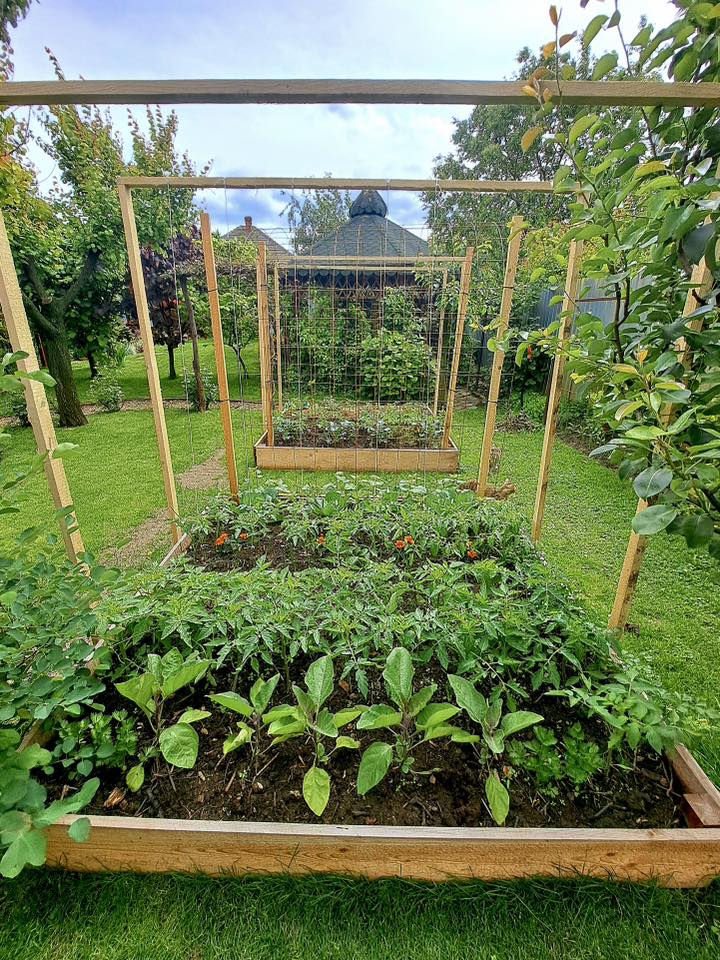 Sorin a început să lucreze la grădina lui încă din pandemie