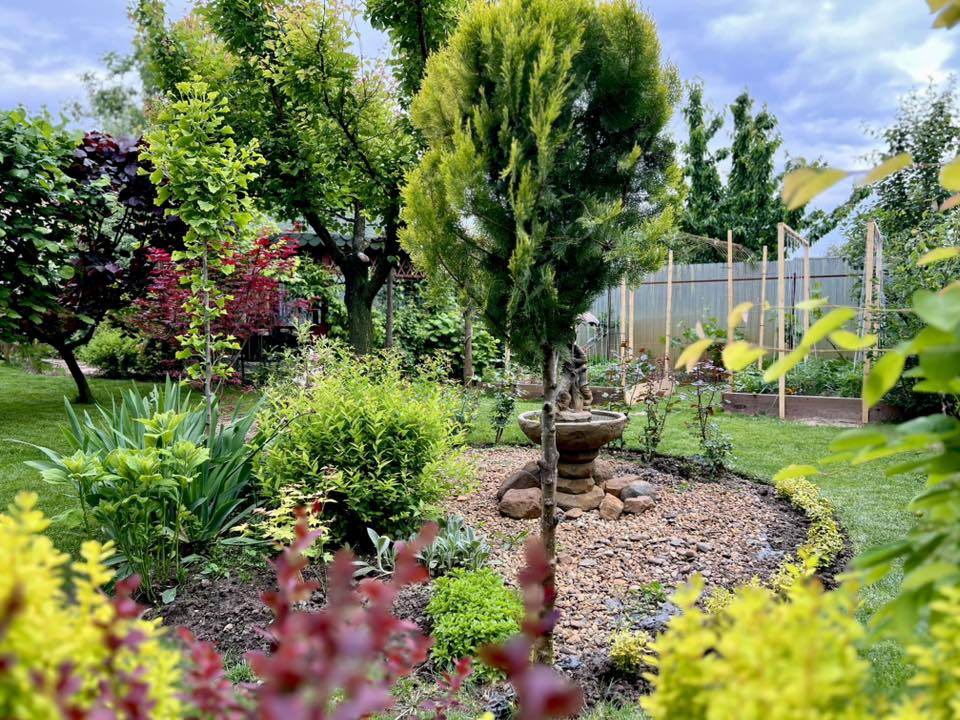 Sorin a început să lucreze la grădina lui încă din pandemie