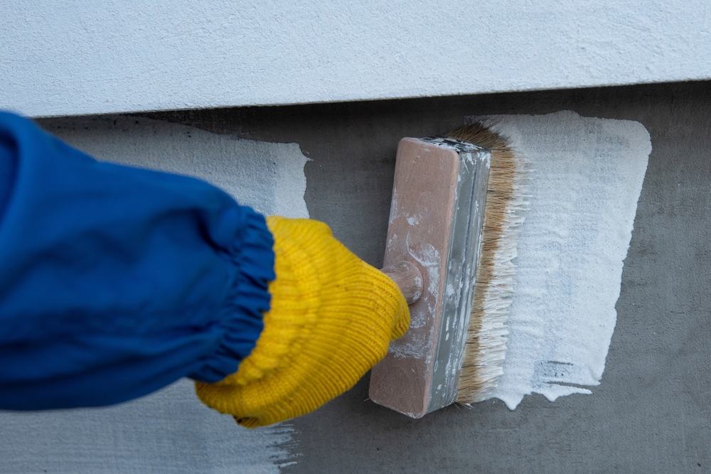 zugravire pereti exterior cu var