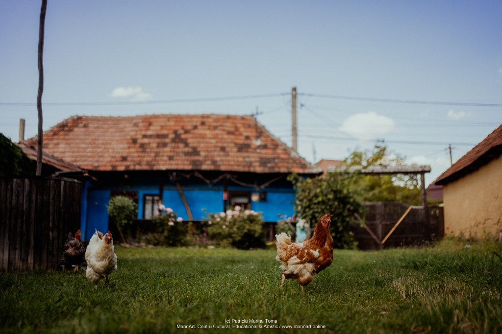 Locuința are în jur de 50 de metri pătrați