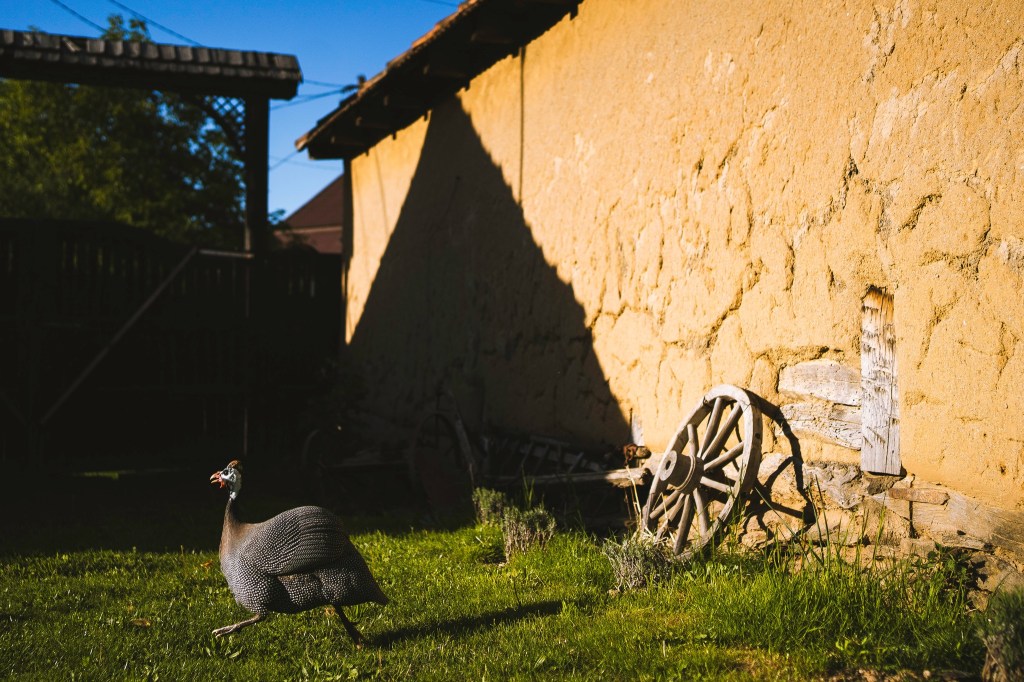 Casa albastră din Marin a fost decorată cu piesele bunicii
