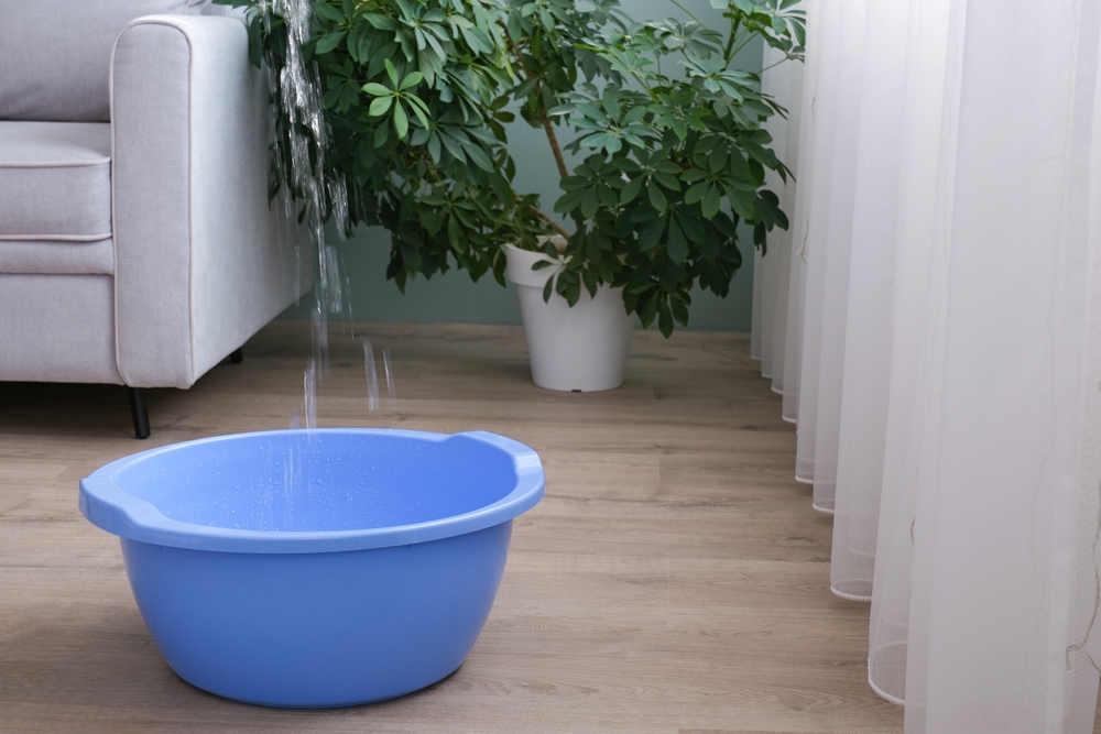 apa care curge de la vecini într-un lighean albastru