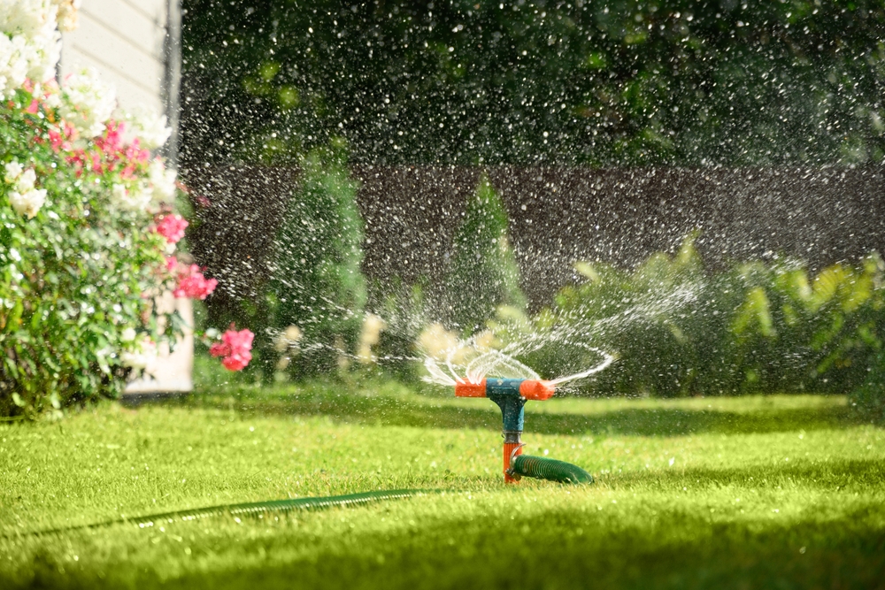 udare gazon vara canicula sistem aspersoare automate gazon verde curte cu flori