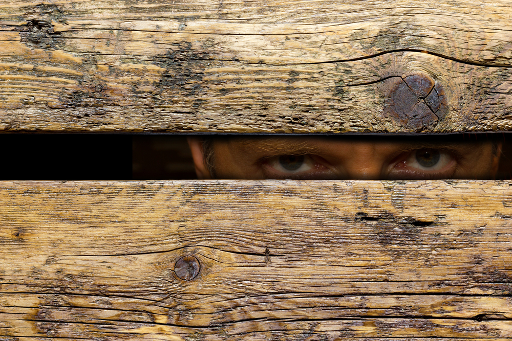 vecin indiscret drept la intimitate