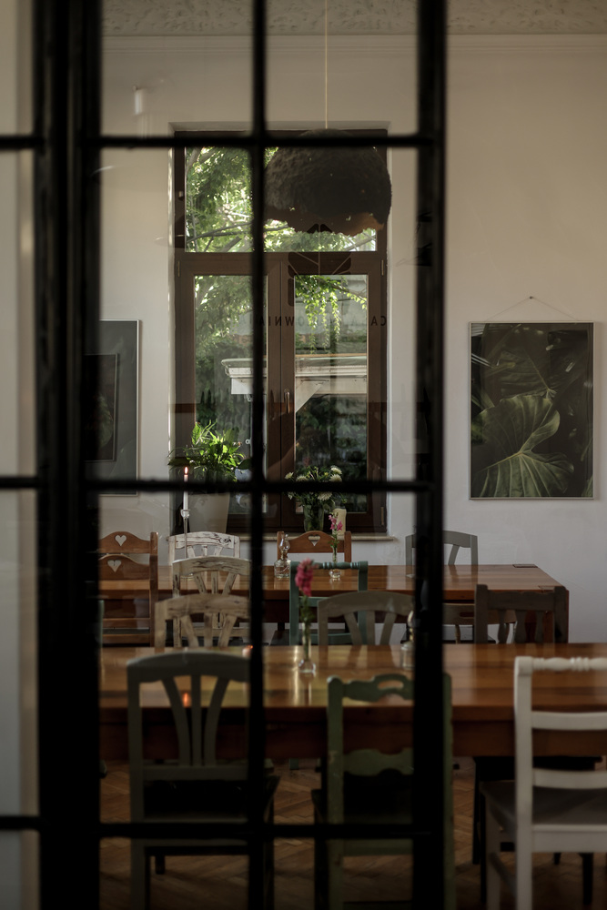 Casa Paulownia - FOTO: @razvanfotograv