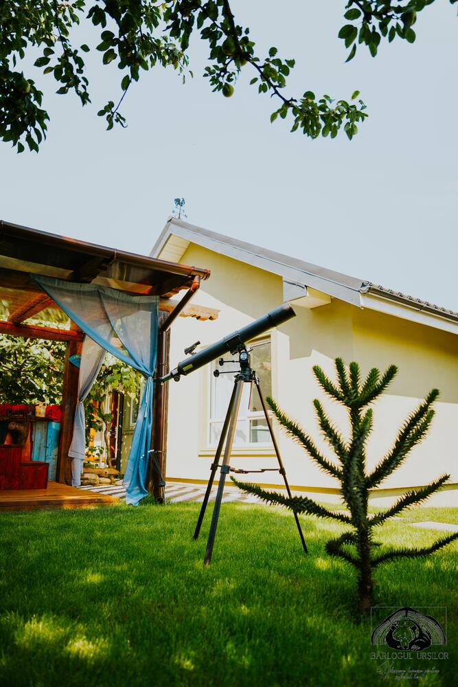 Martyna și Eduard au lucrat singuri la casă, aproximativ 80% din timp