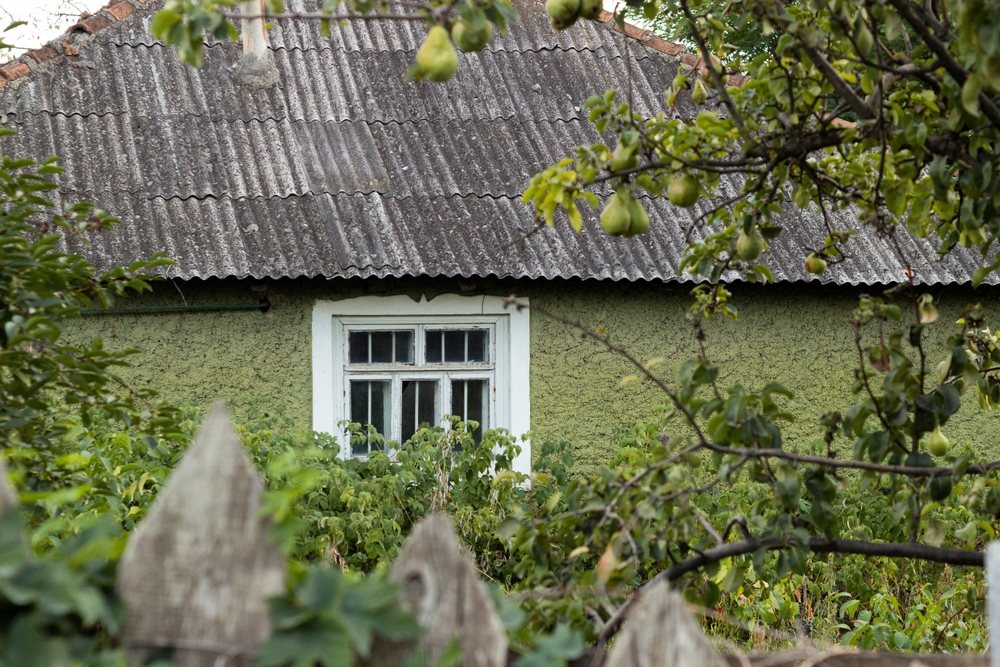 casa veche cu fereastra alba cu vedere dinspre gard si pomi fructiferi