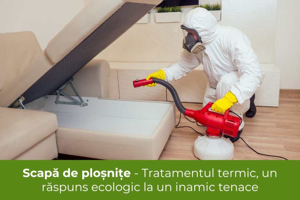Scapă de ploșnițe - Tratamentul termic, un răspuns ecologic la un inamic tenace