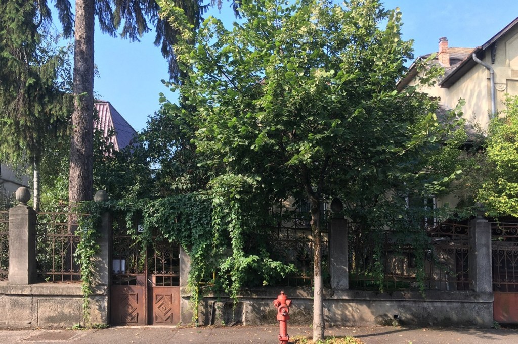  Construcția din 1914 a fost reinterpretată printr-o extindere contemporană 