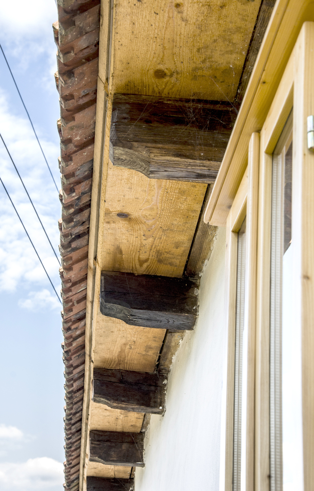 Fațadele sunt îmbrăcate în scânduri de lemn dispuse orizontal, vopsite în negru, asemenea altor anexe din Roșia Nouă