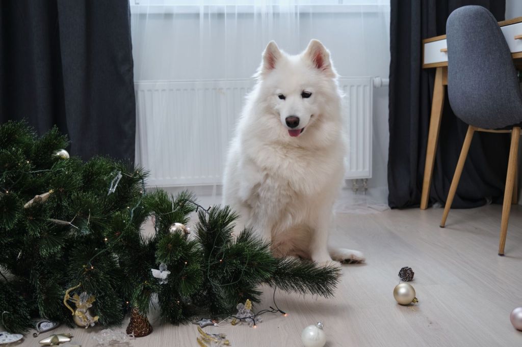 decor casă Crăciun cățel care a dărânat bradul cu globuri și instalația cu luminițe