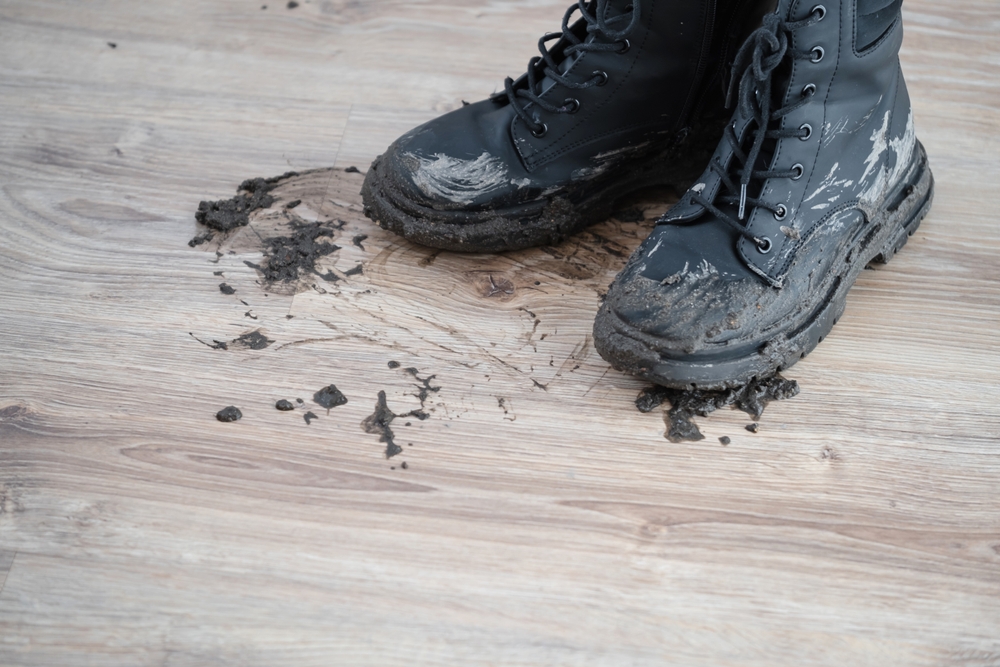 ghete murdare de noroi pe parchet din casă