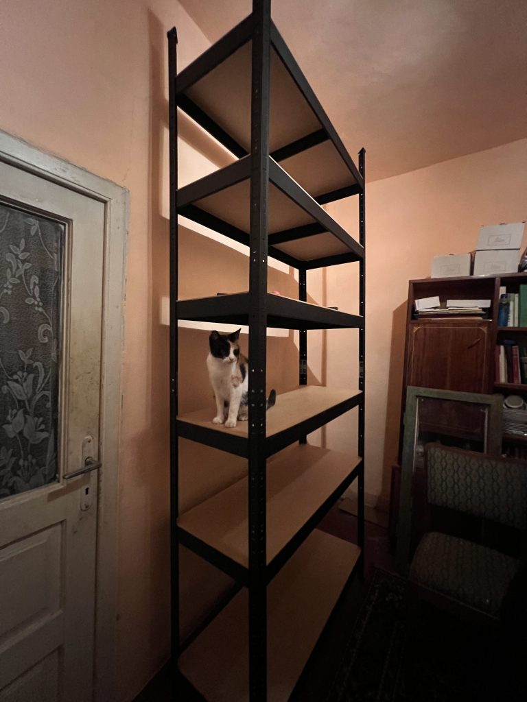 Ada și Dani mai au multe reparații de făcut la căsuța veche, dar vor să devină fermieri și să deschidă un punct gastronomic local la ei în curte