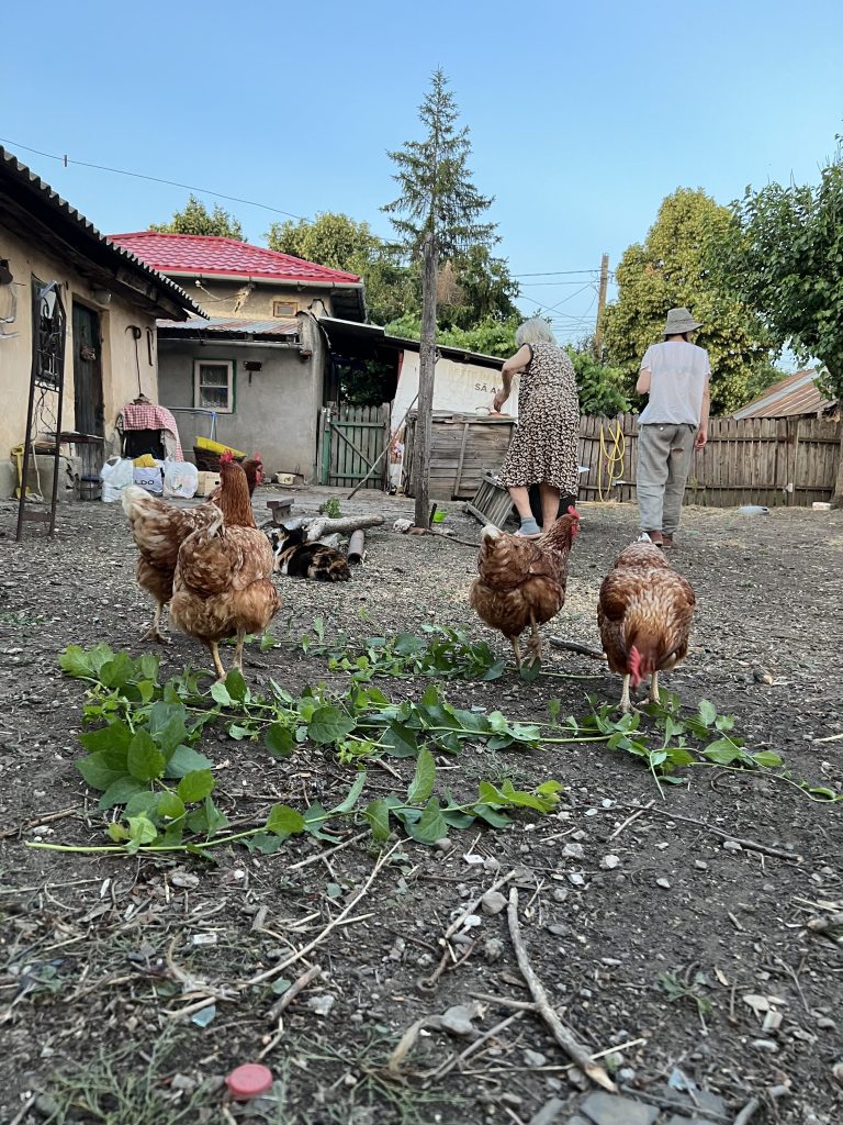 Tinerii și-au propus să dezvolte un proiect de dezvoltare a zonei rurale