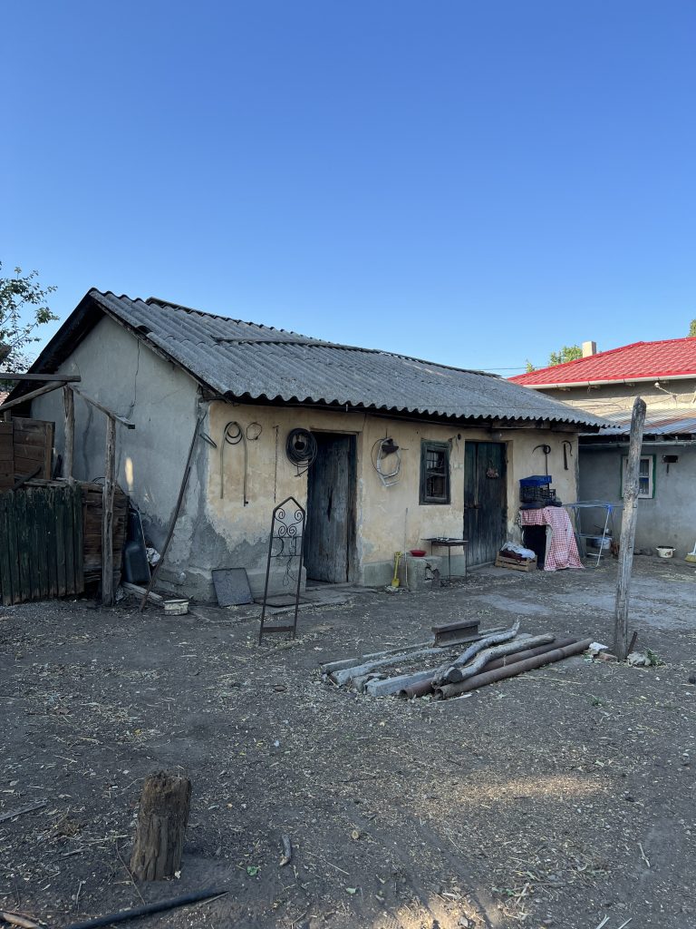 Ada și Dani mai au multe reparații de făcut la căsuța veche, dar vor să devină fermieri și să deschidă un punct gastronomic local la ei în curte