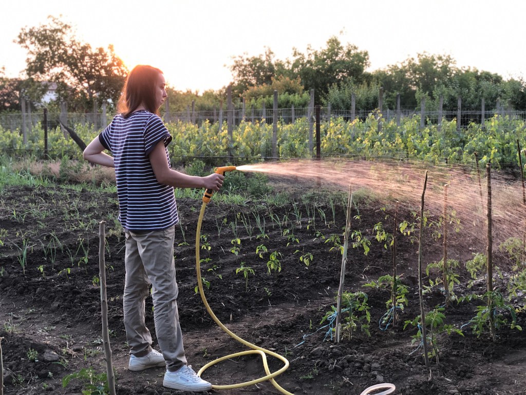 Ada și Dani mai au multe reparații de făcut la căsuța veche, dar vor să devină fermieri și să deschidă un punct gastronomic local la ei în curte