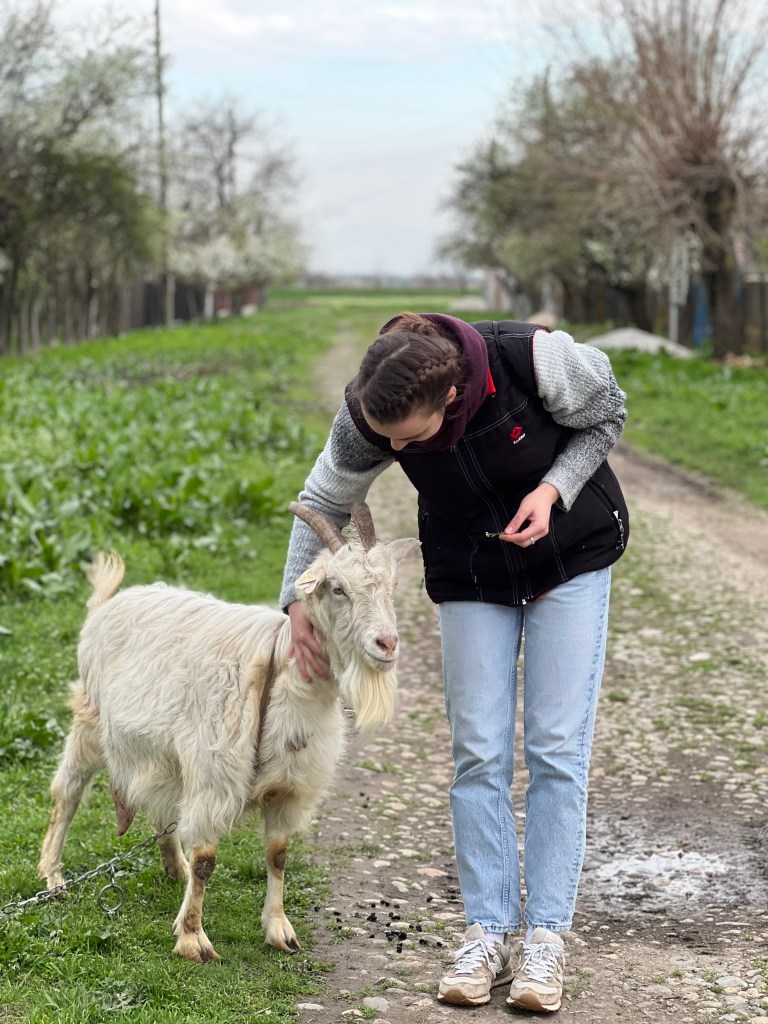 Tinerii și-au propus să dezvolte un proiect de dezvoltare a zonei rurale
