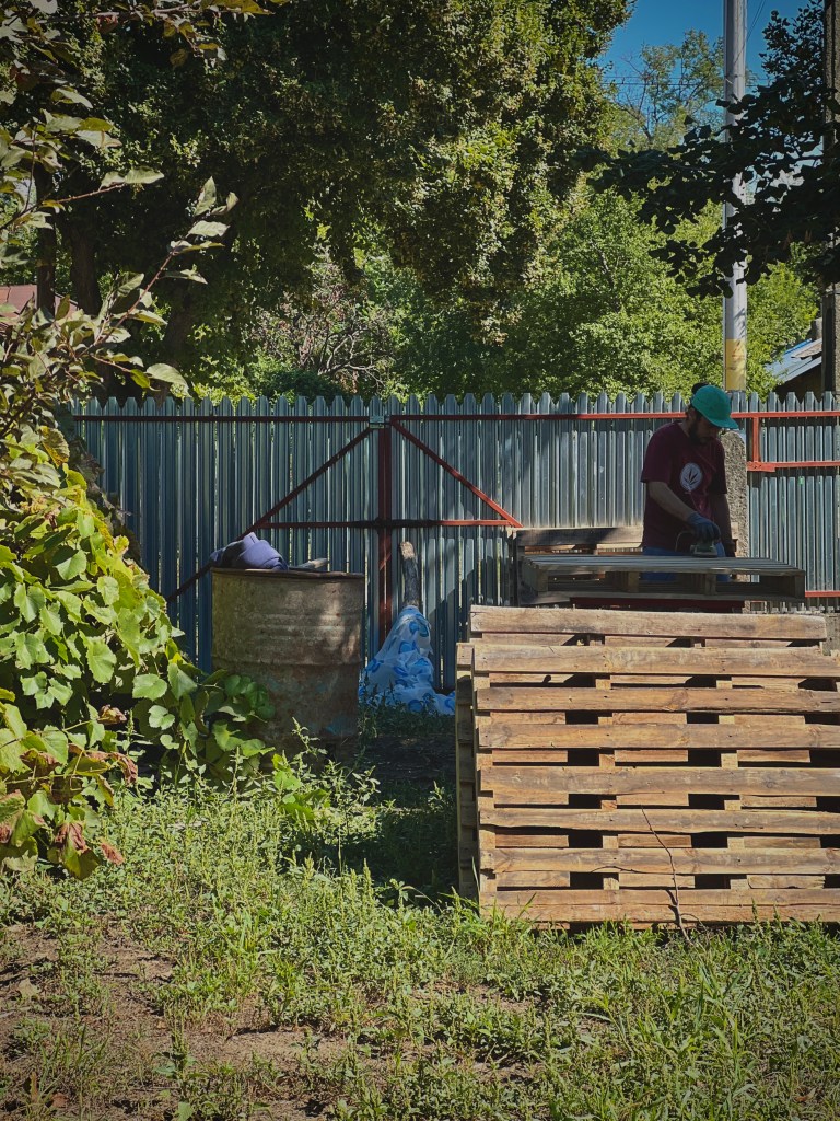 Ada și Dani mai au multe reparații de făcut la căsuța veche, dar vor să devină fermieri și să deschidă un punct gastronomic local la ei în curte