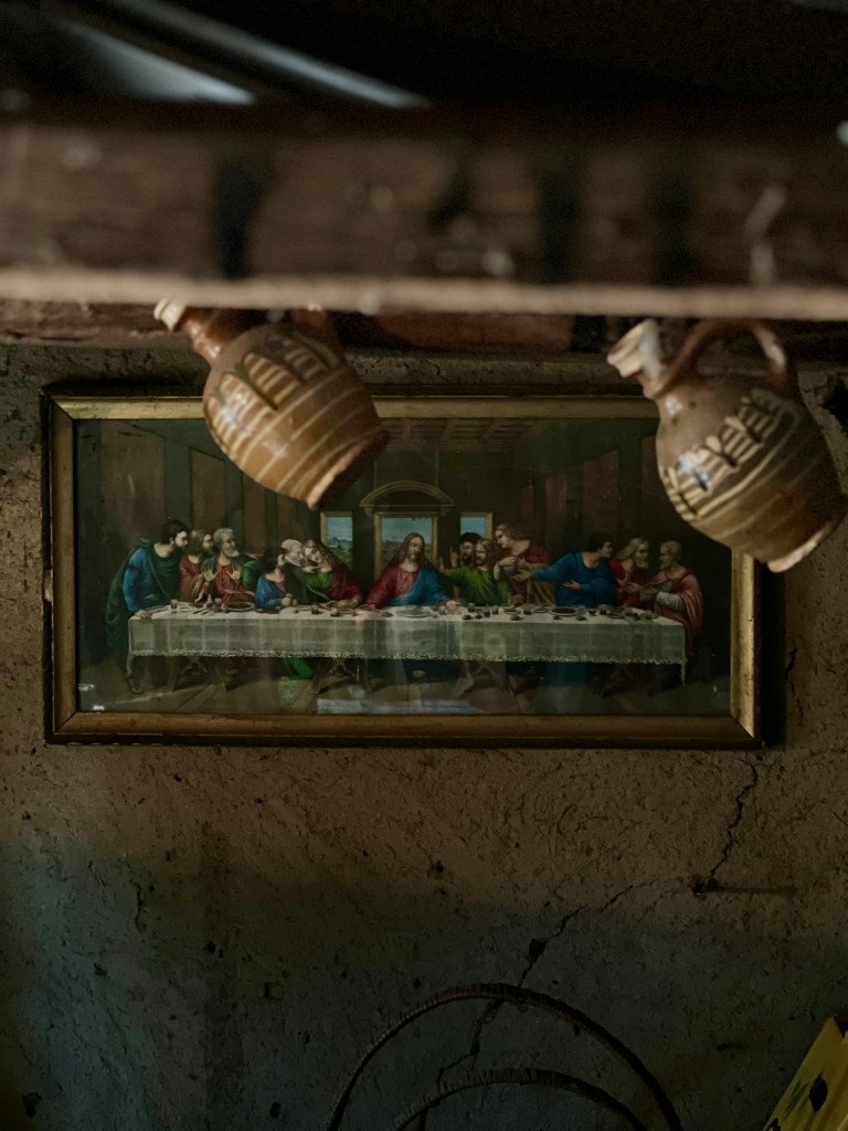 Ada și Dani și s-au mutat la sat în iulie 2025 și trăiesc în casa bunicii