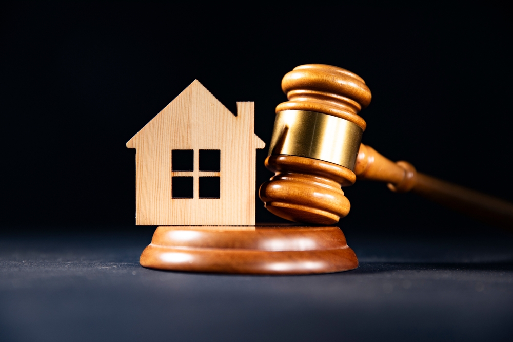 model casa lemn cu ciocan judecător uzucapiune drept proprietate