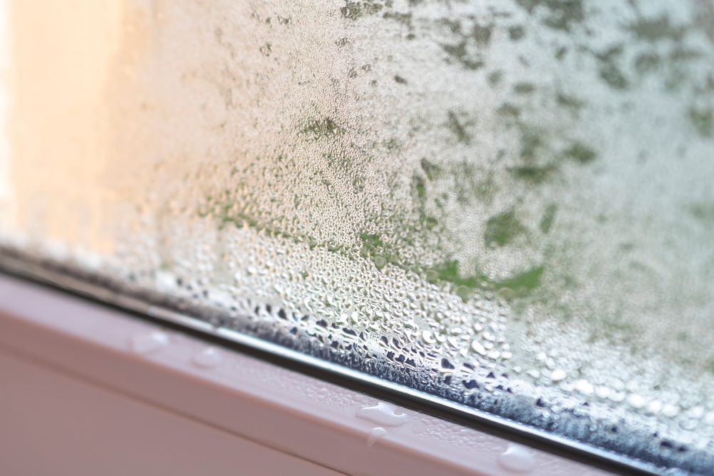 condens interior geam termopan