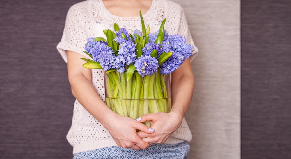 La ce temperatură se țin zambilele: Brațe de femeie țin o vază lată transparentă cu un buchet mare de zambile mov.
